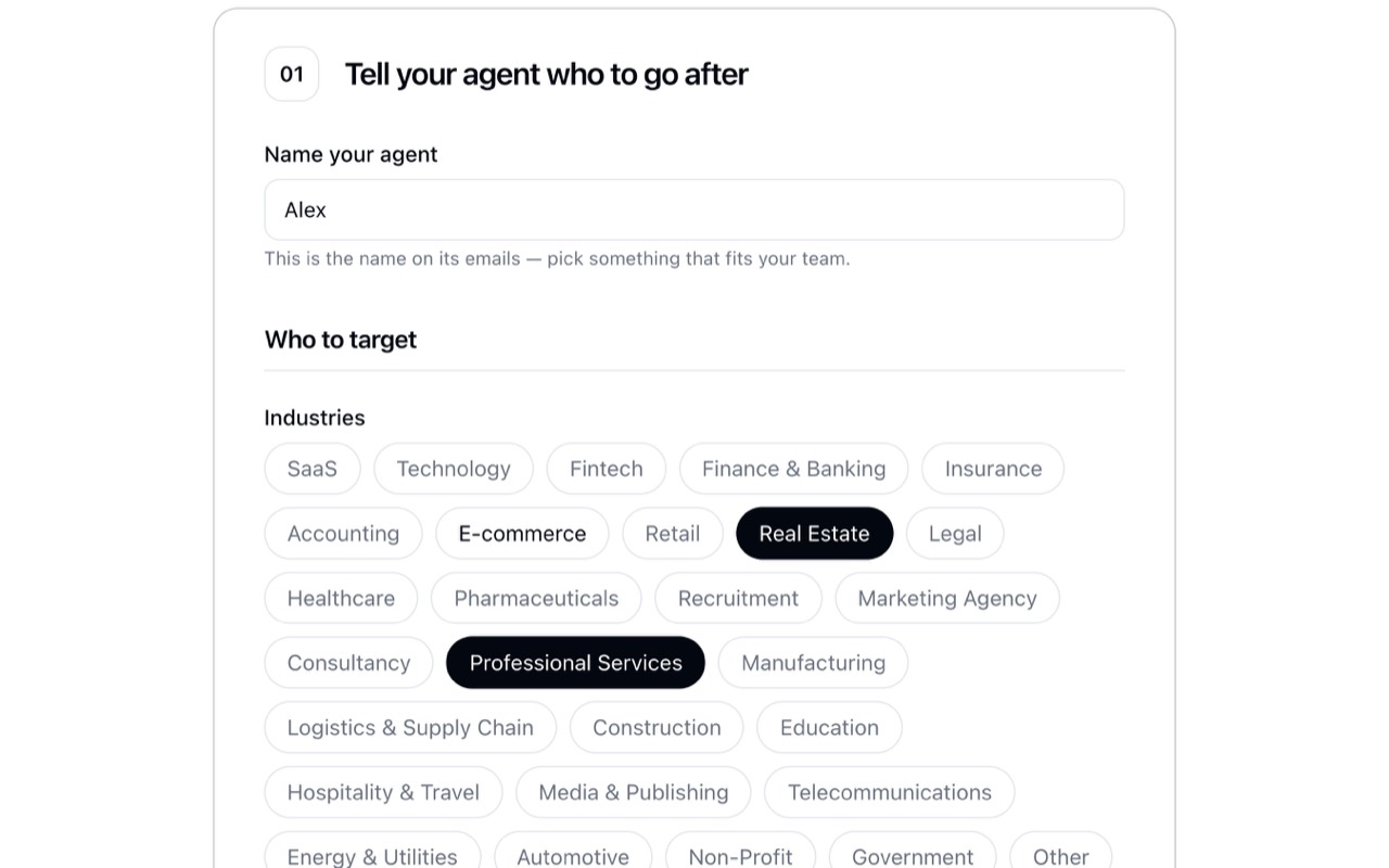 Choosing an agent's target industries, business model, company sizes and buyer roles